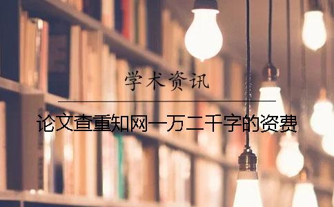论文查重学术一万二千字的资费