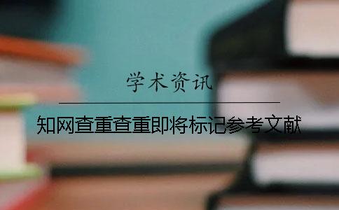知网查重查重即将标记参考文献