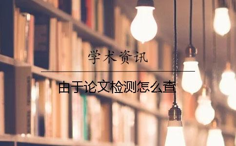 由于论文检测怎么查