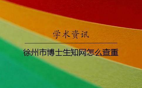 徐州市博士生知网怎么查重
