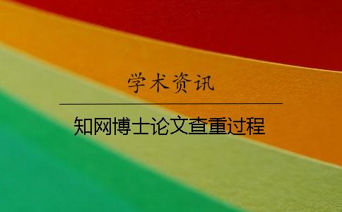 学术博士论文查重过程