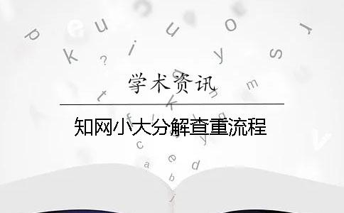 学术小大分解查重流程