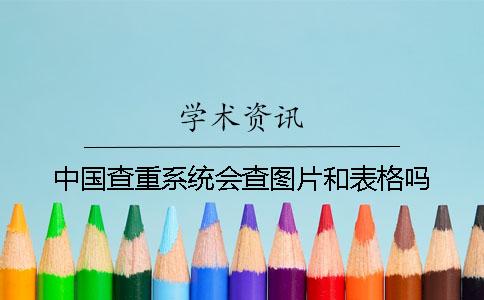 中国查重系统会查图片和表格吗？