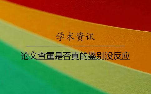 论文查重是否真的鉴别没反应