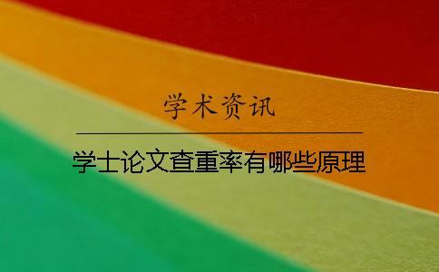 学士论文查重率有哪些原理