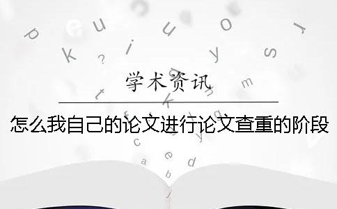 怎么我自己的论文进行论文查重的阶段参考文献重复率也加入去了？