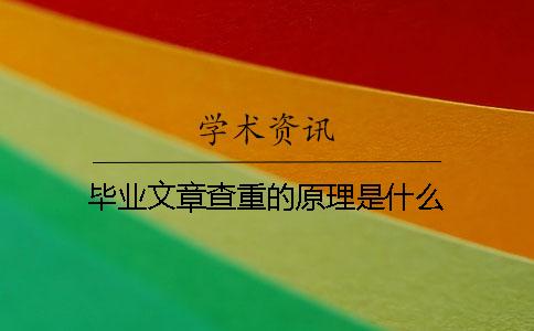 毕业文章查重的原理是什么