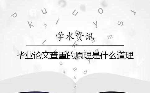 毕业论文查重的原理是什么道理