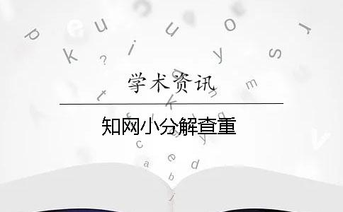 知网小分解查重