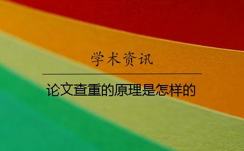 论文查重的原理是怎样的