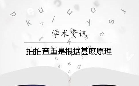 拍拍查重是根据甚麽原理