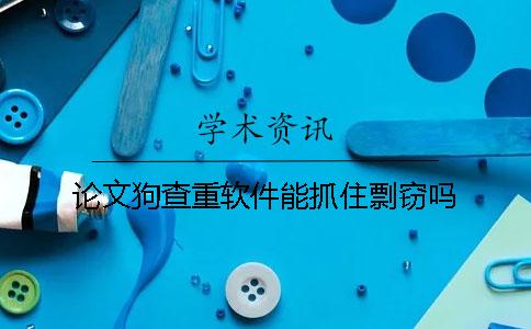 论文狗查重软件能抓住剽窃吗？