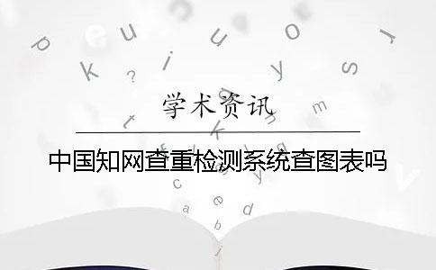 中国知网查重检测系统查图表吗