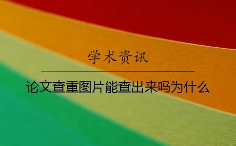 论文查重图片能查出来吗？为什么？