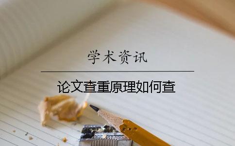 论文查重原理如何查