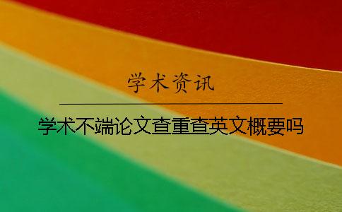 学术不端论文查重查英文概要吗