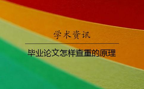 毕业论文怎样查重的原理