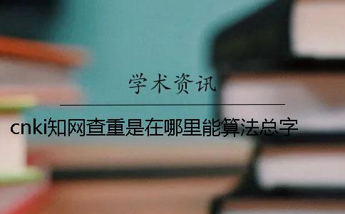 cnki知网查重是在哪里能算法总字符数的？